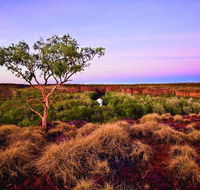 Island Stack Boodjamulla Lawn Hill National Park - Accommodation Coffs Harbour