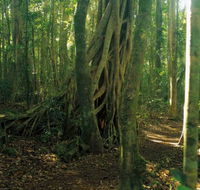 Tullawallal circuit - Accommodation Coffs Harbour