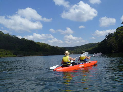 Bundeena Kayaks - Accommodation Coffs Harbour 0