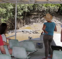 Whitsunday Crocodile Safari - Accommodation Coffs Harbour