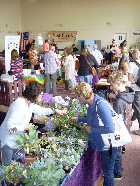 Health Harmony And Happiness Festival - Accommodation Coffs Harbour 0