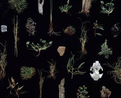 Weswal Gallery - Accommodation Coffs Harbour 0