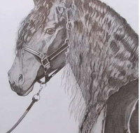 Great Lakes Art Society