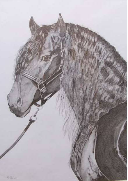 Great Lakes Art Society - Accommodation Coffs Harbour 0