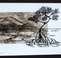 Douglas Arts Inc - Accommodation Coffs Harbour