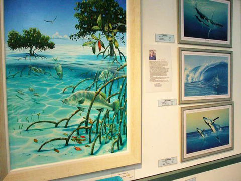 Creations @ The Harbour - Accommodation Coffs Harbour 3