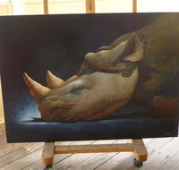 Art on Pallas - Accommodation Coffs Harbour
