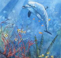 Nadas Fine Art Gallery - Accommodation Coffs Harbour