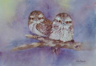 Nada’s Fine Art Gallery - Accommodation Coffs Harbour 1