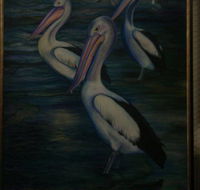 Charlie Moore - Accommodation Coffs Harbour