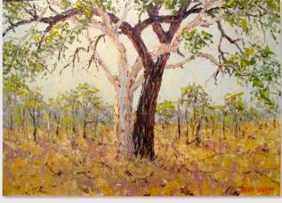 Peter Lawson Fine Art - Accommodation Coffs Harbour 1