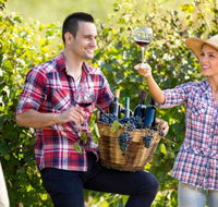 Two Tails Wines - Accommodation Coffs Harbour
