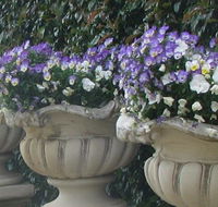 Gardenalia Open Garden and Rare Plant Nursery - Accommodation Coffs Harbour
