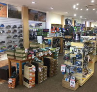 Lone Dingo - Accommodation Coffs Harbour