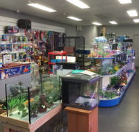 Nambour Pet Shop - Accommodation Coffs Harbour