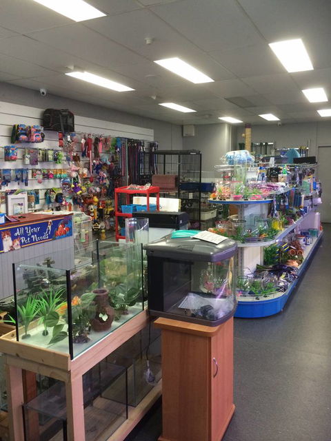Nambour Pet Shop - Accommodation Coffs Harbour 0
