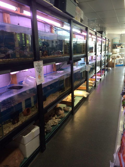 Nambour Pet Shop - Accommodation Coffs Harbour 1