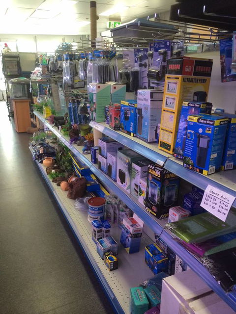 Nambour Pet Shop - Accommodation Coffs Harbour 2