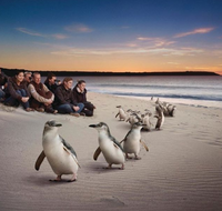Down Under Thrills - Accommodation Coffs Harbour