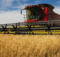 Quirindi Grain and produce - Accommodation Coffs Harbour