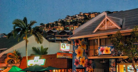 Airlie Beach Party Bus - Accommodation Coffs Harbour 3