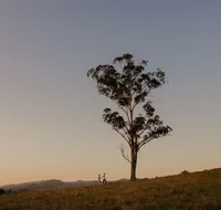 Faulls Ridge Winery - Accommodation Coffs Harbour