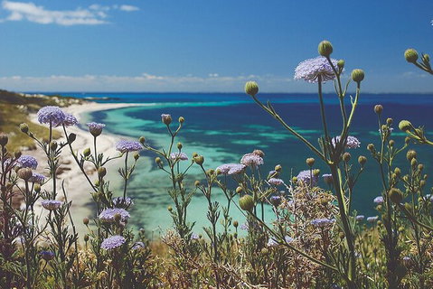 Rottnest Island Full-Day Trip With Guided Island Tour From Perth - Accommodation Coffs Harbour 6
