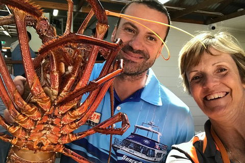 Pinnacles And Yanchep National Park Day Trip From Perth Including Lobster Shack Lunch And Sandboarding - Accommodation Coffs Harbour 3