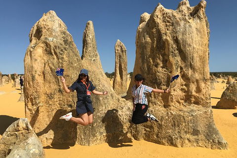 Pinnacles And Yanchep National Park Day Trip From Perth Including Lobster Shack Lunch And Sandboarding - Accommodation Coffs Harbour 2