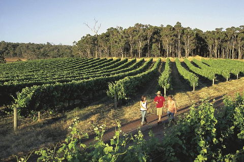 Margaret River, Caves, Wine And Cape Leeuwin Lighthouse Tour From Perth - Accommodation Coffs Harbour 26