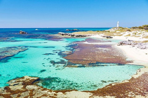 Fremantle To Rottnest Island Roundtrip Ferry Ticket - Accommodation Coffs Harbour 1