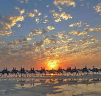 1 Hour Broome Sunset Camel Tour - Accommodation Coffs Harbour