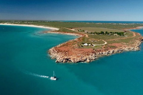 Snubfin Dolphin Eco Cruise From Broome - Accommodation Coffs Harbour 7