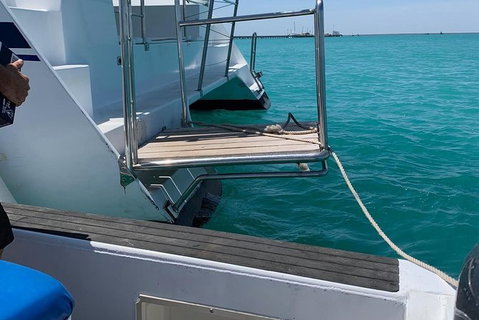 Snubfin Dolphin Eco Cruise From Broome - Accommodation Coffs Harbour 15