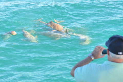 Snubfin Dolphin Eco Cruise From Broome - Accommodation Coffs Harbour 3