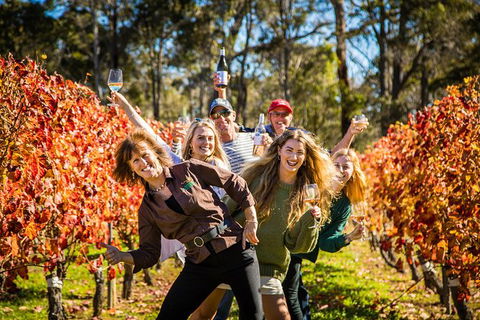 Margaret River Winery And Brewery Day Trip, Plus Gourmet Winery Lunch - Accommodation Coffs Harbour 4