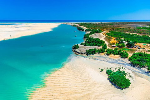 Willie Creek Pearl Farm Tour From Broome - Accommodation Coffs Harbour 0