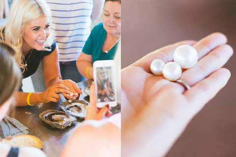 Willie Creek Pearl Farm Tour From Broome - Accommodation Coffs Harbour 1