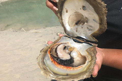 Willie Creek Pearl Farm Tour From Broome - Accommodation Coffs Harbour 6