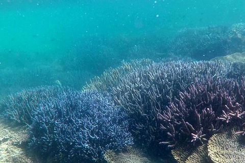 Abrolhos Island Half Day Fly And Flipper - Accommodation Coffs Harbour 1