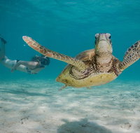 Turtle Eco Adventure Tour in Exmouth - Accommodation Coffs Harbour