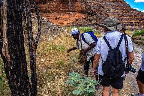 Bungles Day Trek - Accommodation Coffs Harbour 3