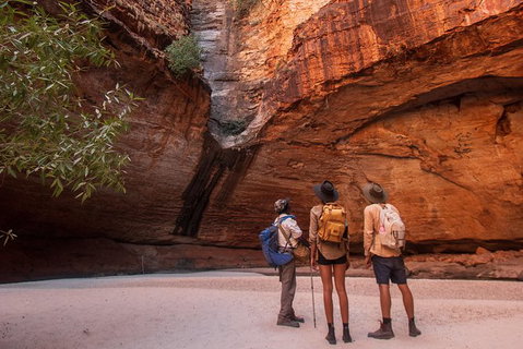 Bungles Day Trek - Accommodation Coffs Harbour 2