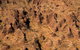 Bungles Day Trek - thumb 7