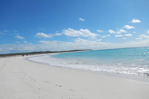 Shipwreck Special Nature Tour/Half Day Tour - Accommodation Coffs Harbour 0