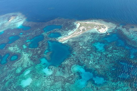 Shipwreck Special Nature Tour/Half Day Tour - Accommodation Coffs Harbour 5
