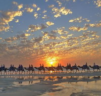 Broome City Sightseeing Tour with Optional Camel Ride - Accommodation Coffs Harbour