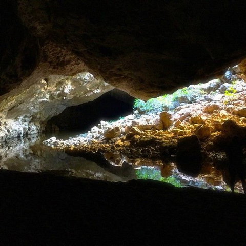 Windjana Gorge And Tunnel Creek 4WD Tour From Broome - Accommodation Coffs Harbour 8