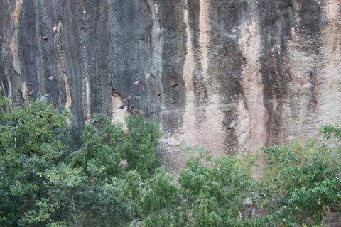Windjana Gorge And Tunnel Creek 4WD Tour From Broome - Accommodation Coffs Harbour 2