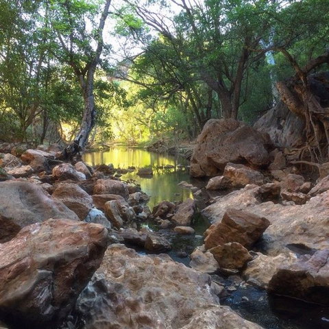 Windjana Gorge And Tunnel Creek 4WD Tour From Broome - Accommodation Coffs Harbour 9